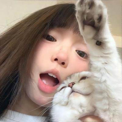鸟是海与树的孩子