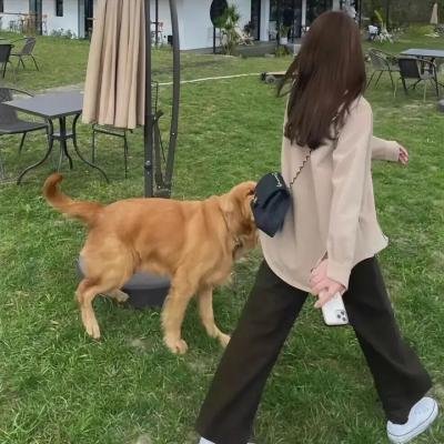 仿生超极限